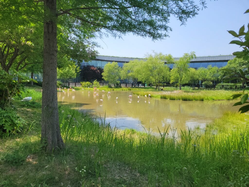 순천만 습지의 새들