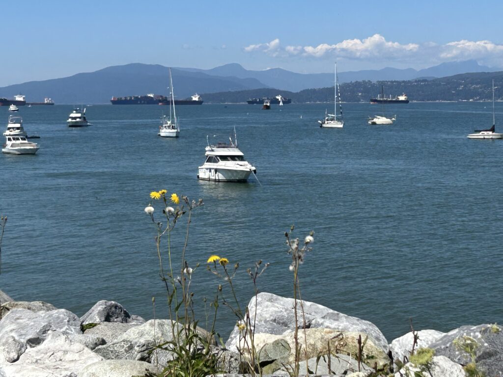 Elsje Point에서 본 바다