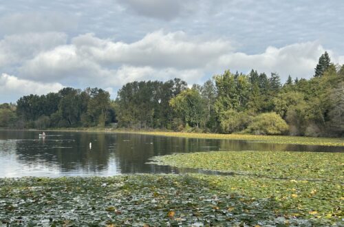 버나비 디어 레이크 공원