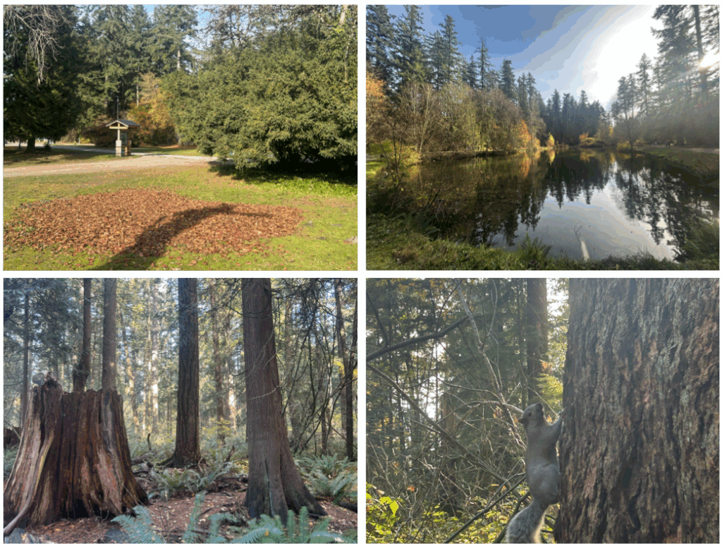 버나비 센트럴 파크