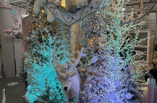 포터스 가든 센터의 크리스마스 스토어