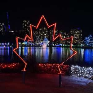 밴쿠버의 크리스마스! Lights at Lafarge의 캐나다 메이플 모양의 일루미네이션