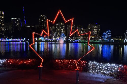 밴쿠버의 크리스마스! Lights at Lafarge의 캐나다 메이플 모양의 일루미네이션