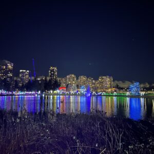 Lights at Lafarge의 야경