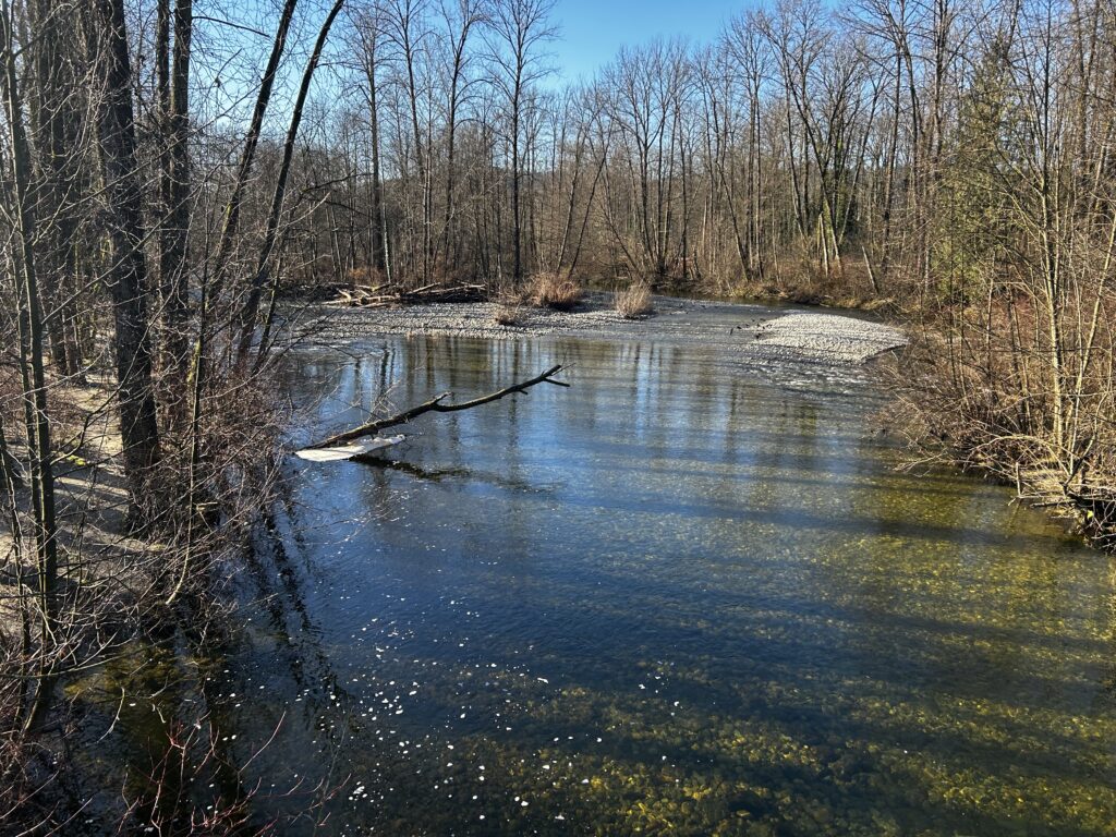 주민들의 휴식처가 되는 코퀴틀람 강