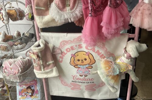 론즈데일 키 마켓에서 발견한 강아지 드레스