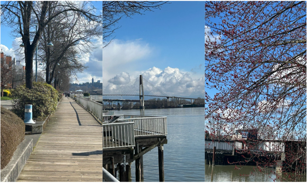 뉴 웨스트민스터 강을 따라 걷는 트레일 전경