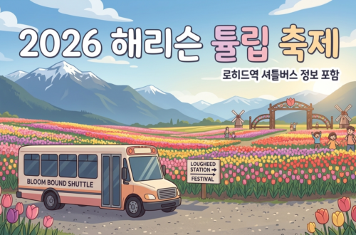 2026 해리슨 튤립 축제 안내
