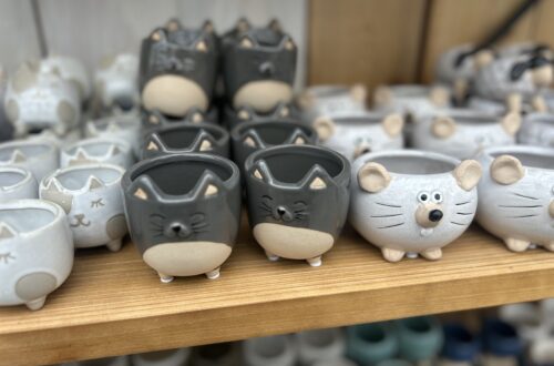 가든 센터의 미니 고양이 다리 화분