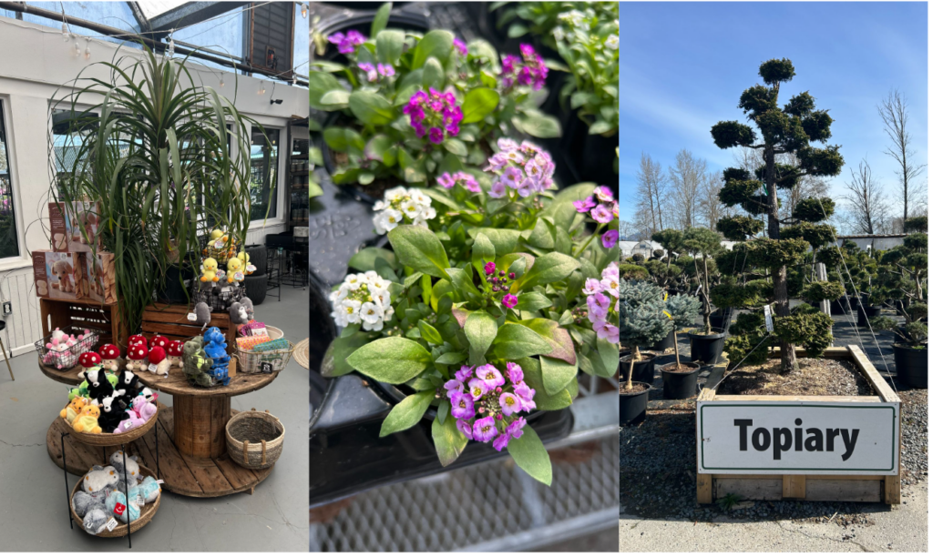 Art's Nursery 식물들