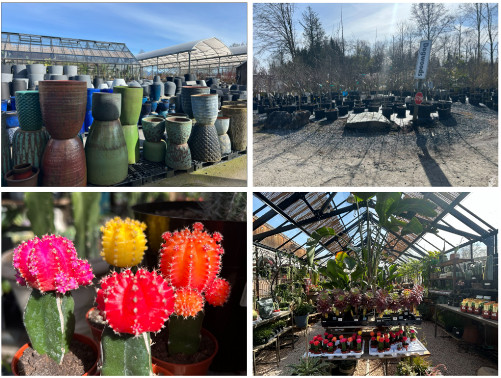 Art's Nursery 화분, 나무, 꽃