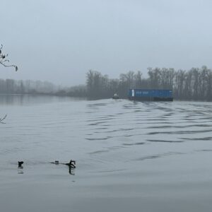 거꾸로 강을 오르는 저 컨테이너처럼