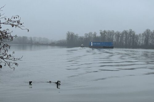 거꾸로 강을 오르는 저 컨테이너처럼