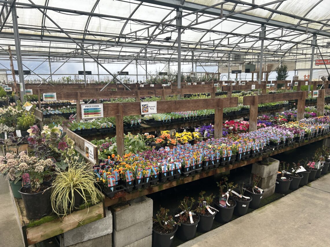 핏 메도우즈의 암스테르담 가든 센터(Garden Centre)