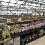 핏 메도우즈의 암스테르담 가든 센터(Garden Centre)
