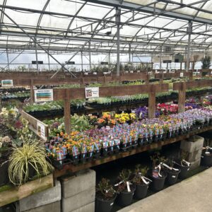 핏 메도우즈의 암스테르담 가든 센터(Garden Centre)