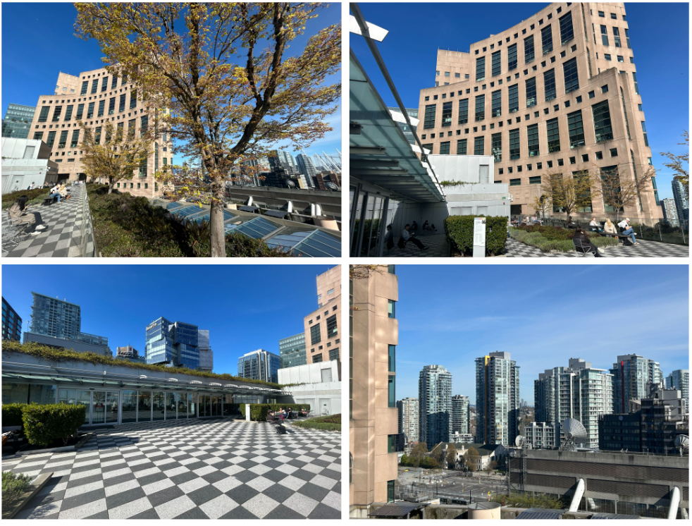 밴쿠버 도서관 루프탑 가든 모습