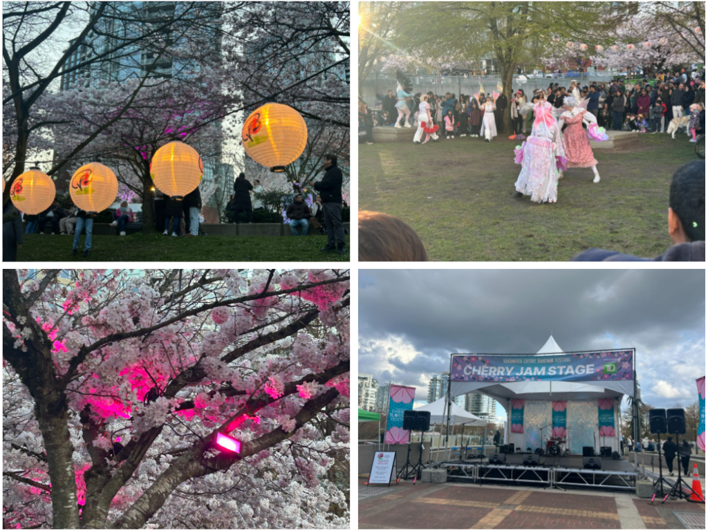 밴쿠버 벚꽃 축제 Blosson After Dart