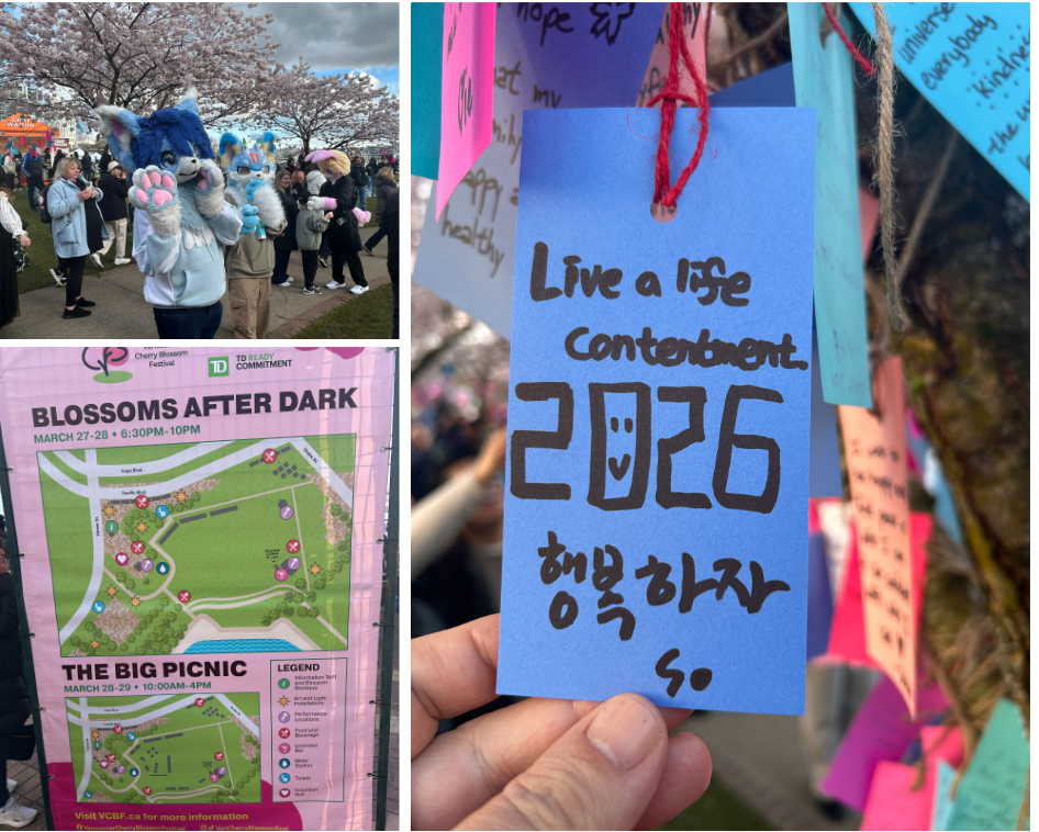 밴쿠버 벚꽃 축제 현장 모습2