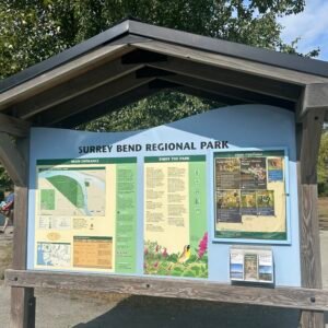 대규모 BBQ 모임을 하기 좋은 공원 Surrey Bend Regional Park