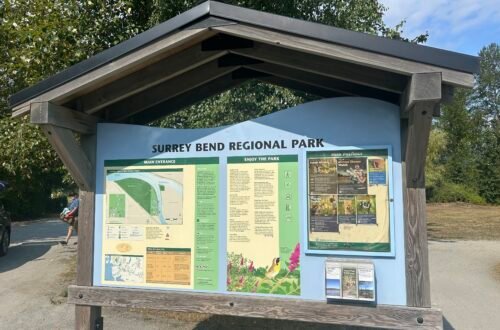 대규모 BBQ 모임을 하기 좋은 공원 Surrey Bend Regional Park