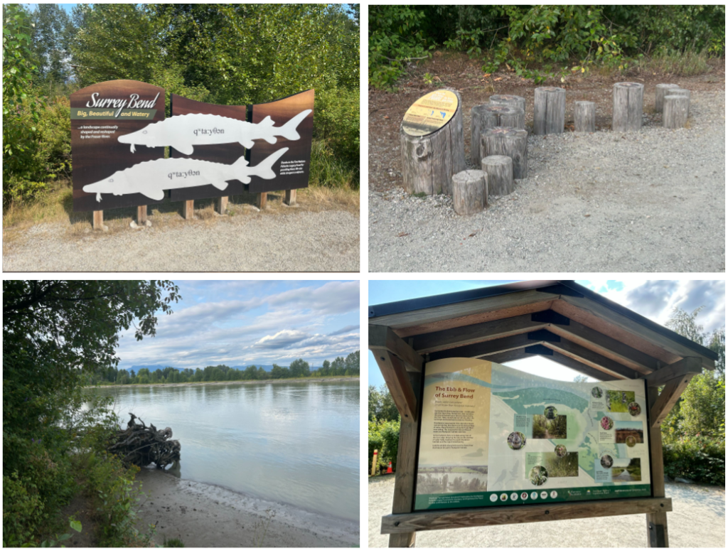 Surrey Bend Regional Park 모습