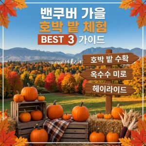 가을 여행, 밴쿠버 근교 펌프킨 팻치 추천 BEST 3 & 방문 꿀팁