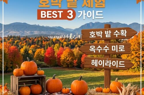 가을 여행, 밴쿠버 근교 펌프킨 팻치 추천 BEST 3 & 방문 꿀팁
