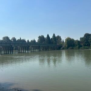 포트 랭리(Fort Langley)의 강을 건너 숲으로 향하는 다리