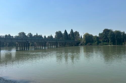 포트 랭리(Fort Langley)의 강을 건너 숲으로 향하는 다리
